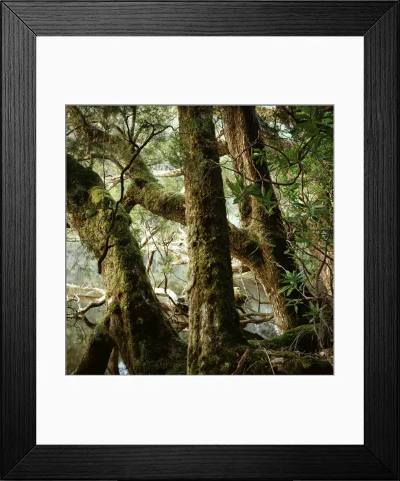 Framed Print : Picture No. 10863004 Framed Print : Picture No. 10863004