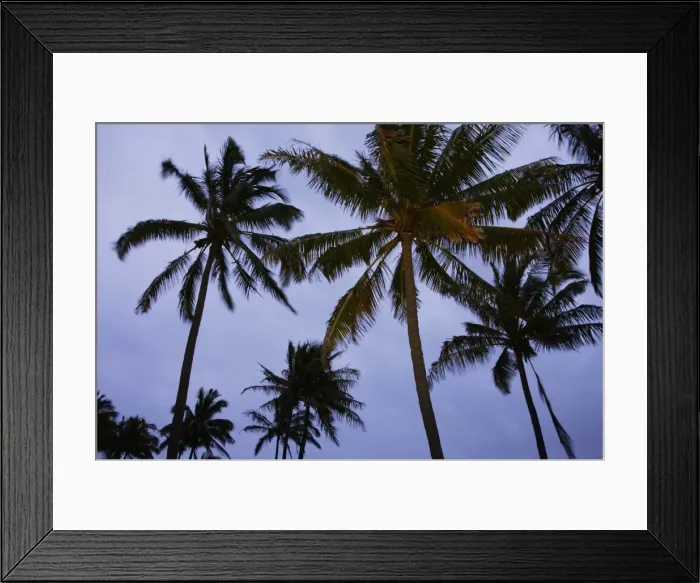 Framed Print : Picture No. 10861951