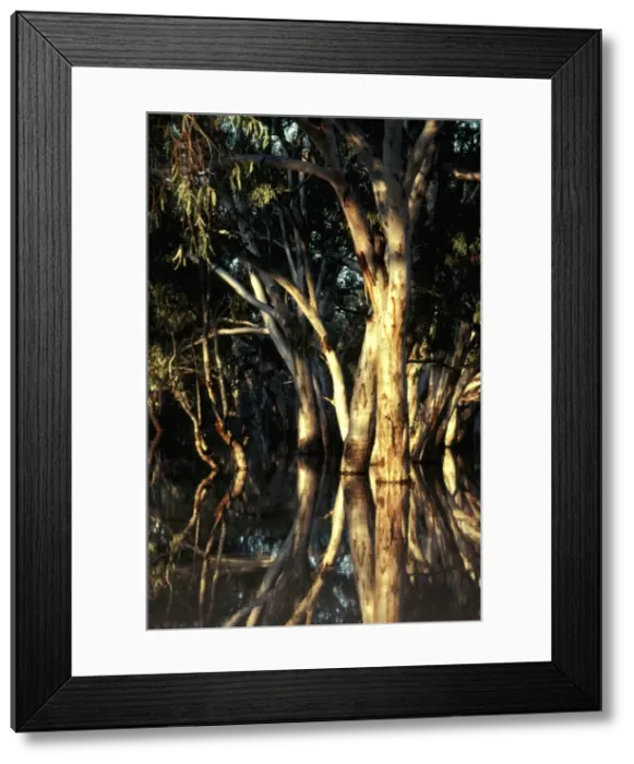 Framed Print : Picture No. 10862712