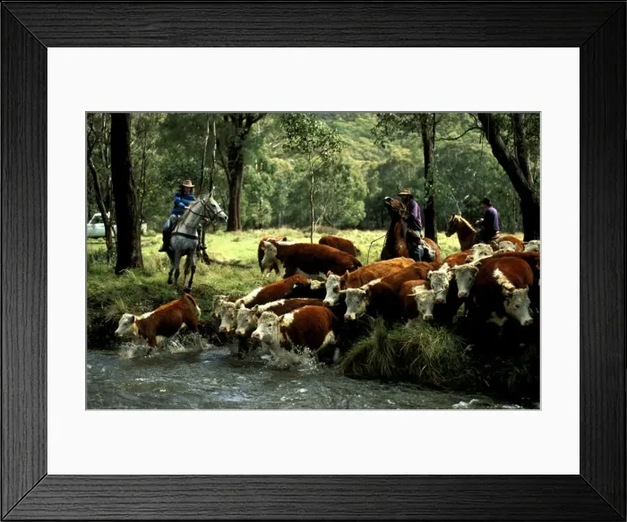 Framed Print : Picture No. 10863034 Framed Print : Picture No. 10863034