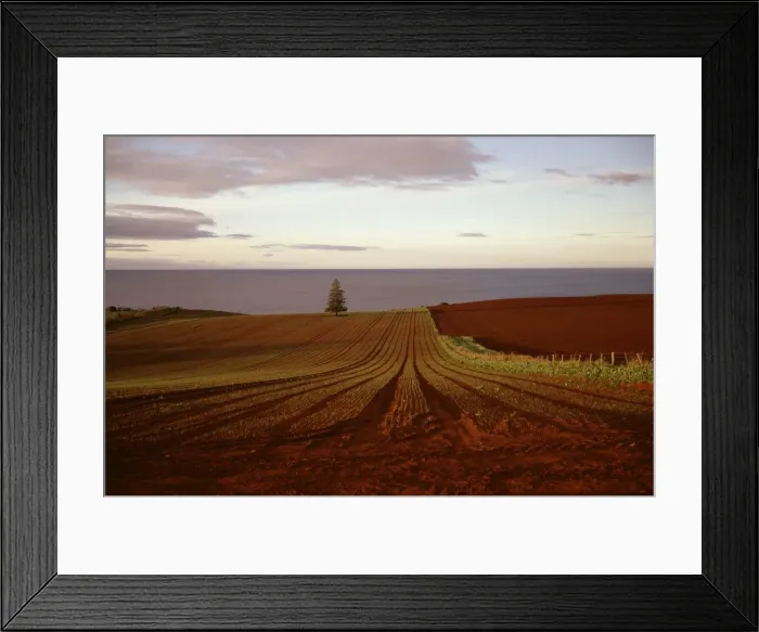 Framed Print : Picture No. 10862958 Framed Print : Picture No. 10862958