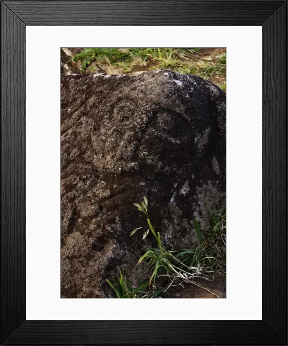 Framed Print : Picture No. 10861924 Framed Print : Picture No. 10861924