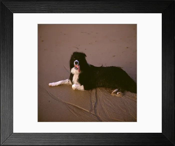 Framed Print : Picture No. 10862977 Framed Print : Picture No. 10862977
