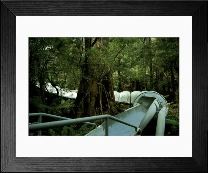 Framed Print : Picture No. 10862990 Framed Print : Picture No. 10862990