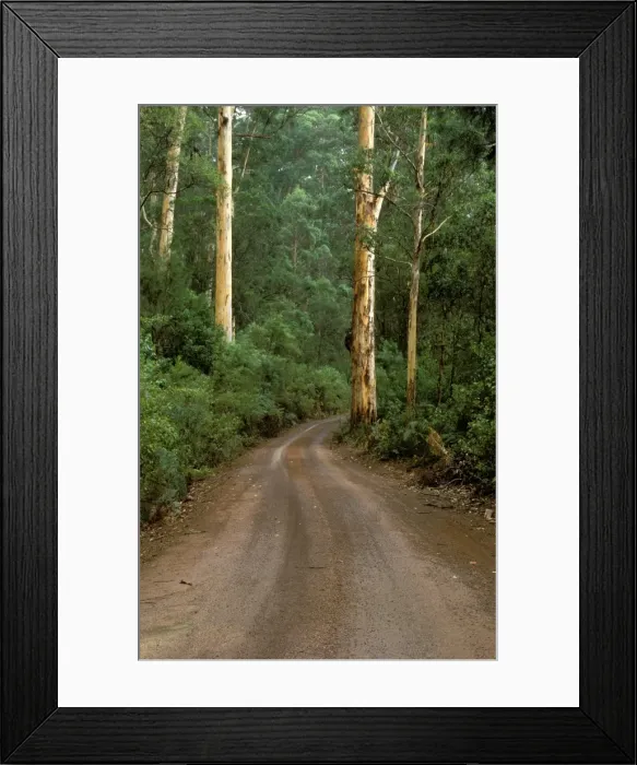 Framed Print : Picture No. 10862660