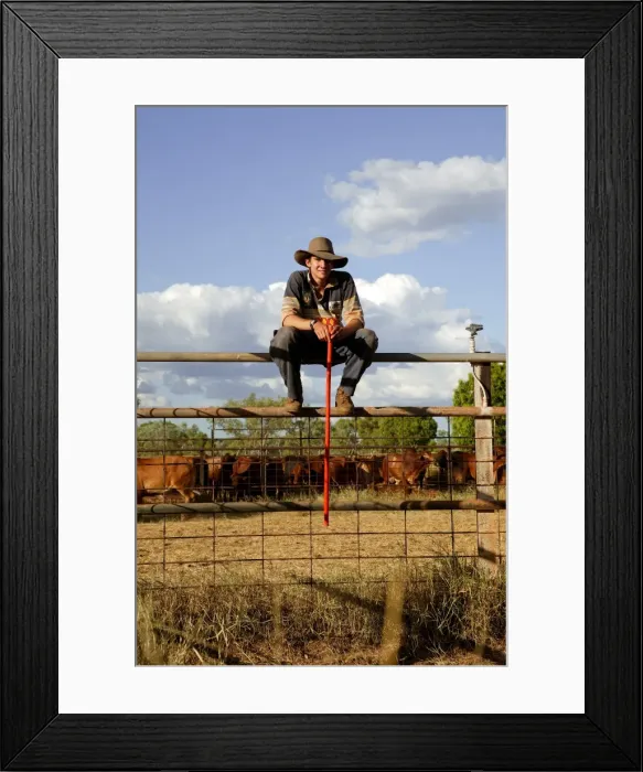 Framed Print : Picture No. 10863217 Framed Print : Picture No. 10863217
