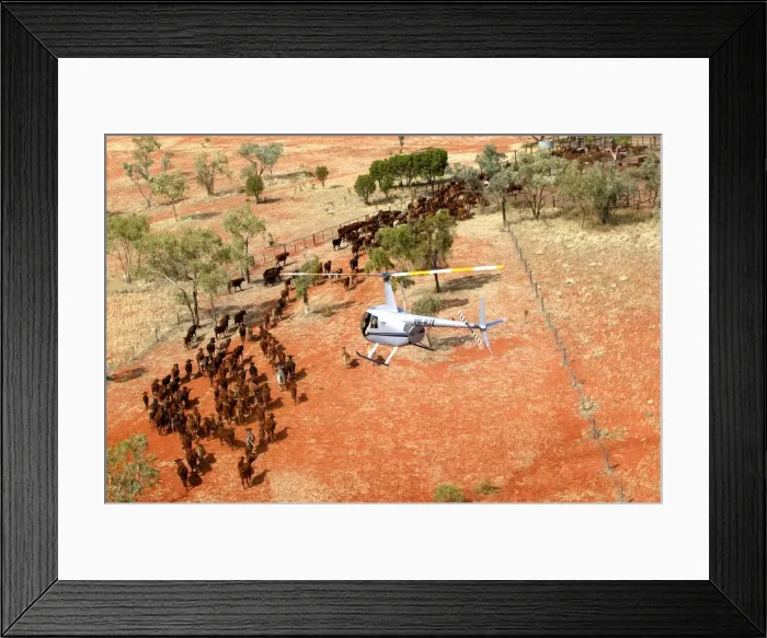 Framed Print : Picture No. 10863256 Framed Print : Picture No. 10863256