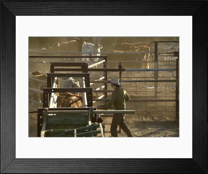 Framed Print : Picture No. 10863270