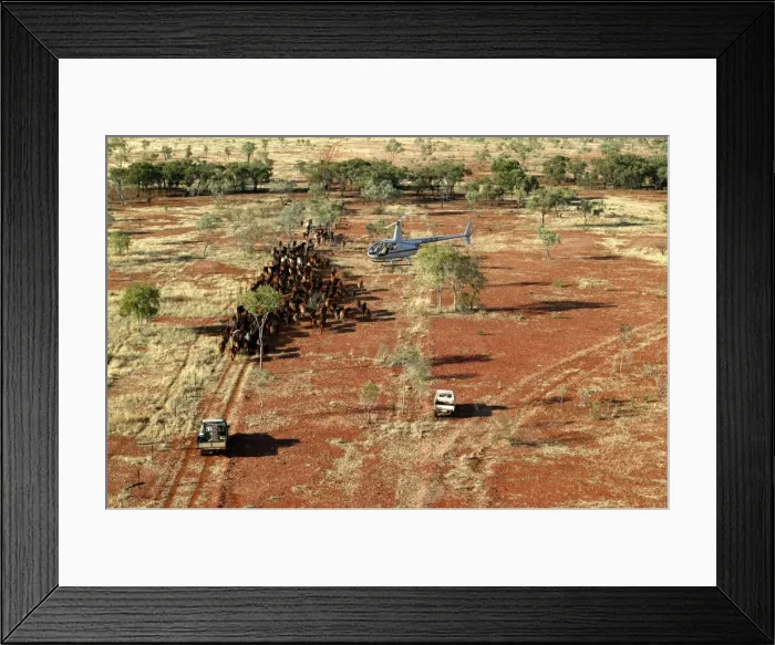 Framed Print : Picture No. 10863276 Framed Print : Picture No. 10863276
