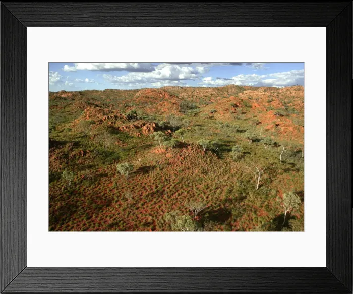 Framed Print : Picture No. 10863230 Framed Print : Picture No. 10863230