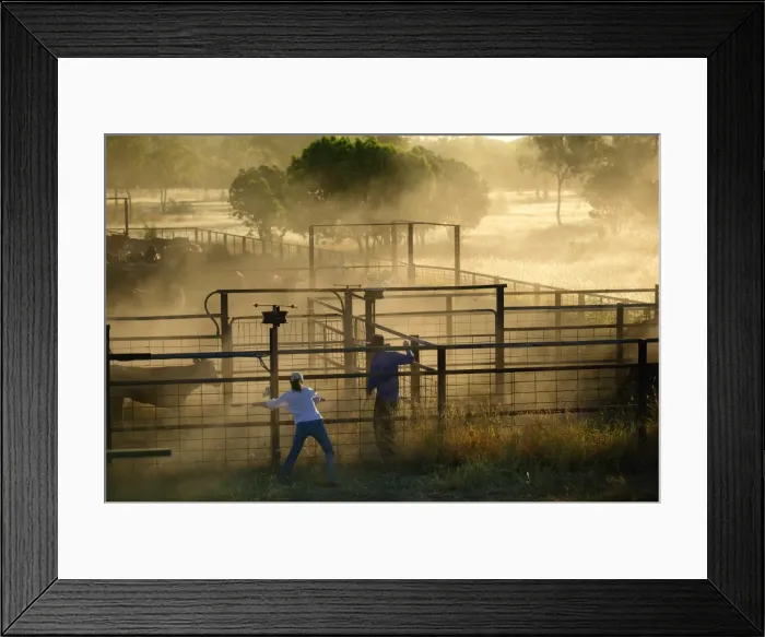 Framed Print : Picture No. 10863219 Framed Print : Picture No. 10863219