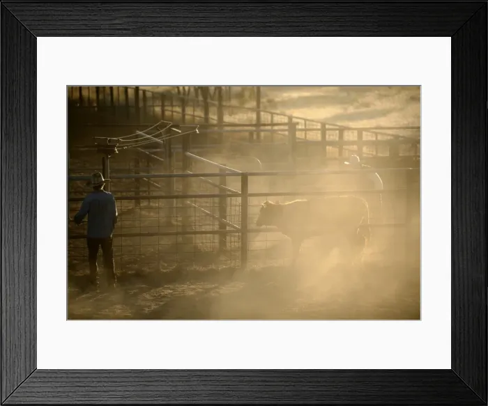 Framed Print : Picture No. 10863249 Framed Print : Picture No. 10863249