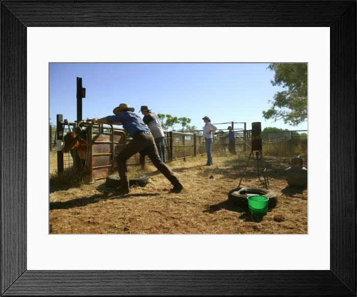 Framed Print : Picture No. 10863204