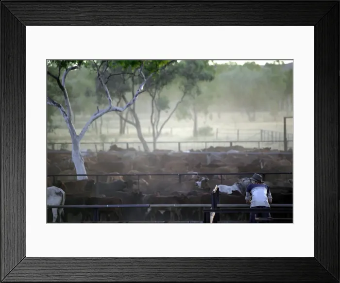 Framed Print : Picture No. 10863283 Framed Print : Picture No. 10863283