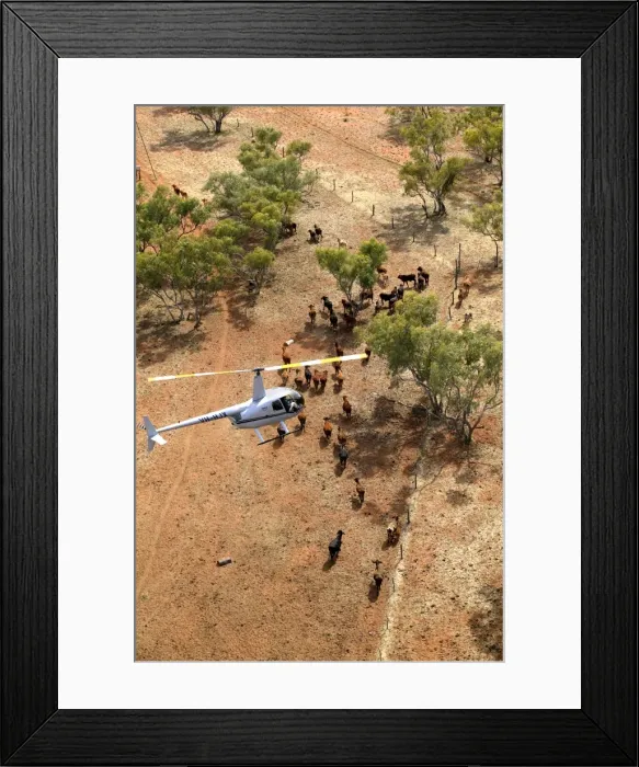 Framed Print : Picture No. 10863252 Framed Print : Picture No. 10863252