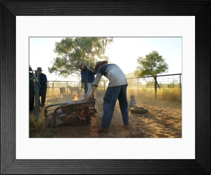 Framed Print : Picture No. 10863202 Framed Print : Picture No. 10863202
