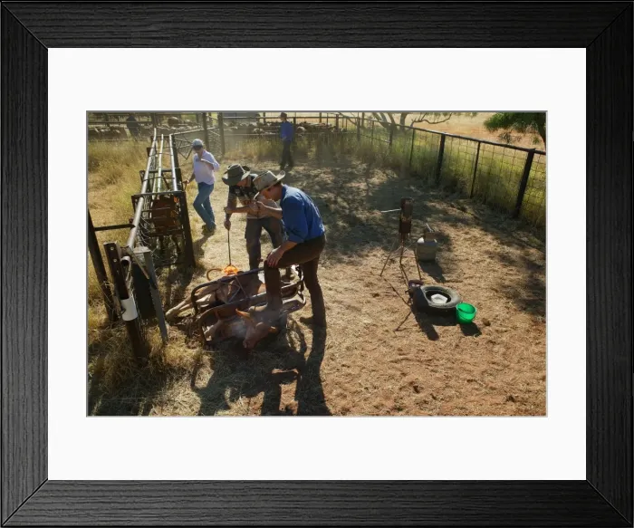 Framed Print : Picture No. 10863203 Framed Print : Picture No. 10863203