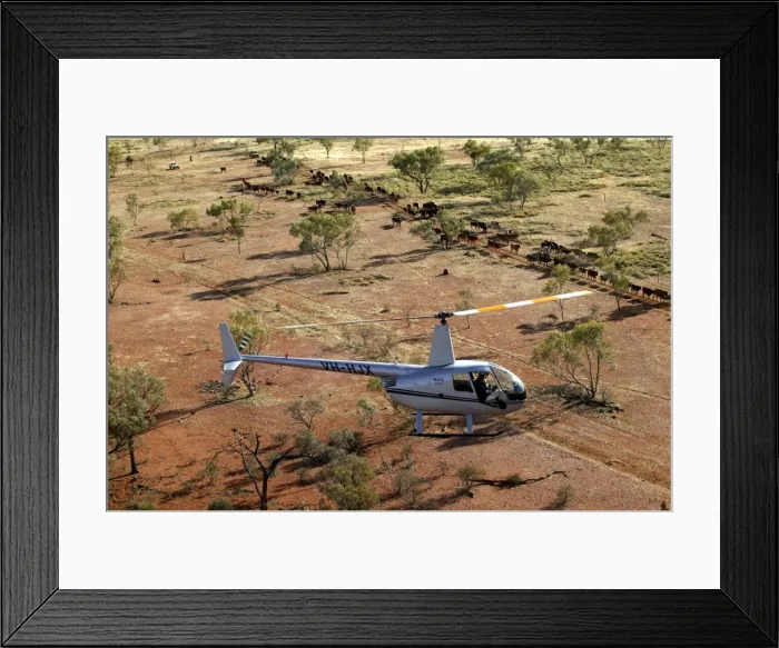 Framed Print : Picture No. 10863277 Framed Print : Picture No. 10863277