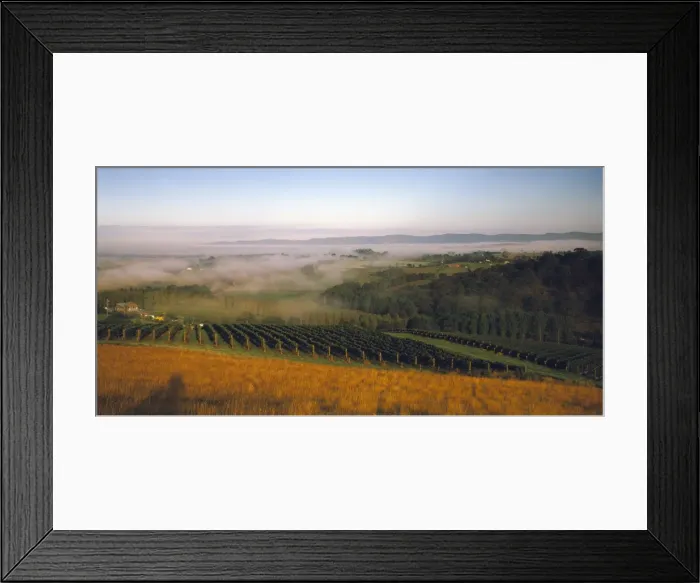 Framed Print : Picture No. 10863194 Framed Print : Picture No. 10863194