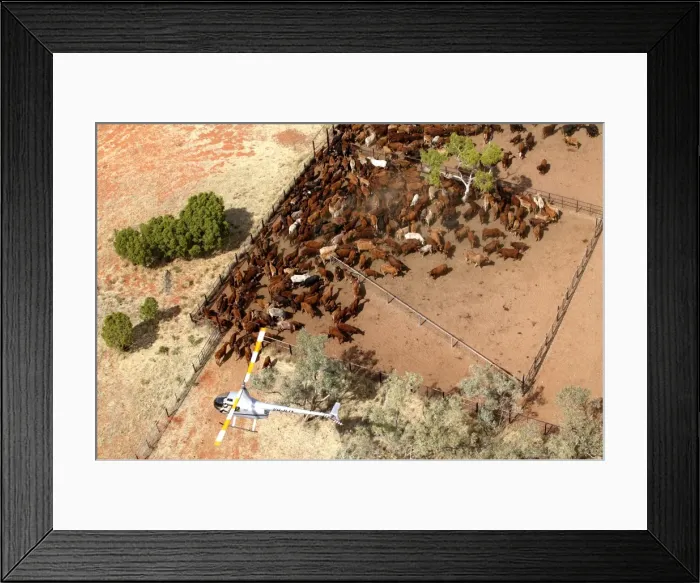 Framed Print : Picture No. 10863257 Framed Print : Picture No. 10863257