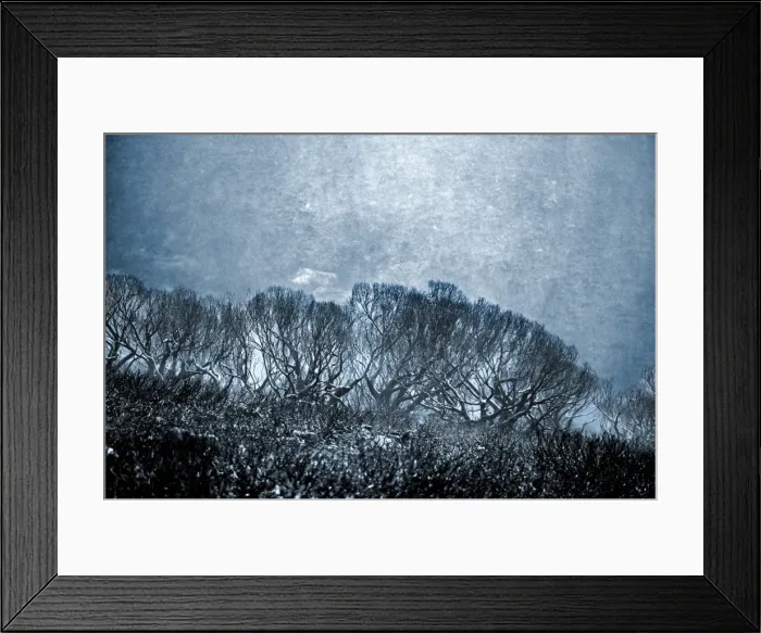 Framed Print : Picture No. 10863089 Framed Print : Picture No. 10863089
