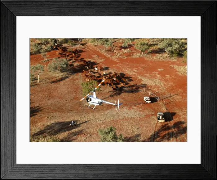 Framed Print : Picture No. 10863274 Framed Print : Picture No. 10863274