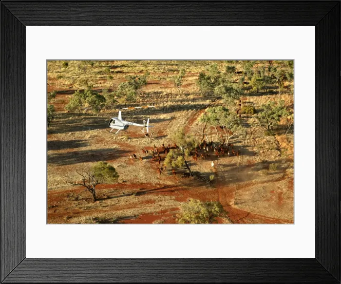 Framed Print : Picture No. 10863258 Framed Print : Picture No. 10863258