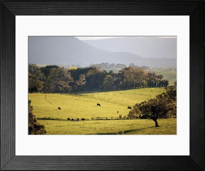 Framed Print : Picture No. 10863192 Framed Print : Picture No. 10863192