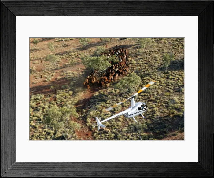 Framed Print : Picture No. 10863275 Framed Print : Picture No. 10863275