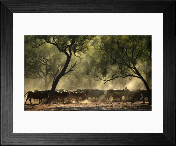 Framed Print : Picture No. 10863261 Framed Print : Picture No. 10863261