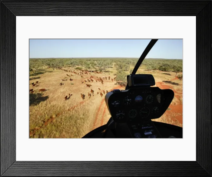 Framed Print : Picture No. 10863224 Framed Print : Picture No. 10863224
