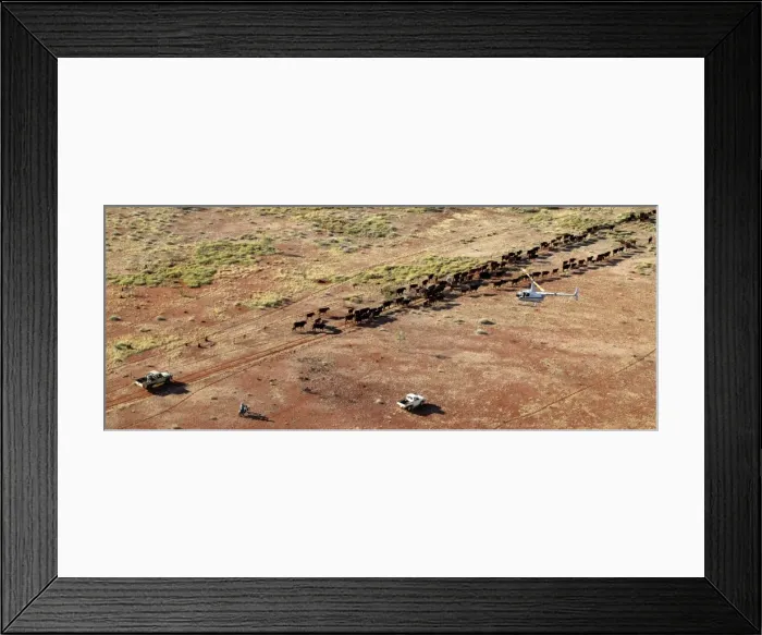 Framed Print : Picture No. 10863260 Framed Print : Picture No. 10863260