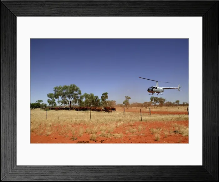 Framed Print : Picture No. 10863226