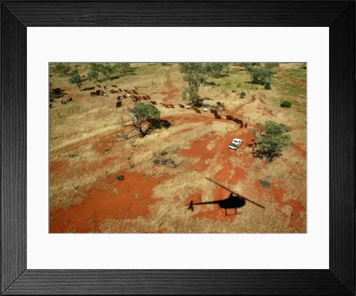 Framed Print : Picture No. 10863225 Framed Print : Picture No. 10863225
