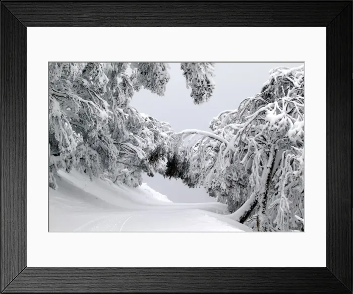 Framed Print : Picture No. 10863129 Framed Print : Picture No. 10863129