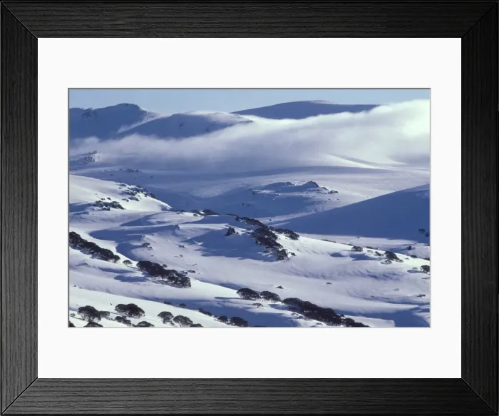 Framed Print : Picture No. 10865351 Framed Print : Picture No. 10865351