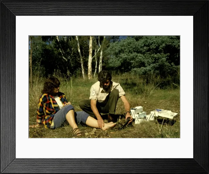 Framed Print : Picture No. 10865356 Framed Print : Picture No. 10865356