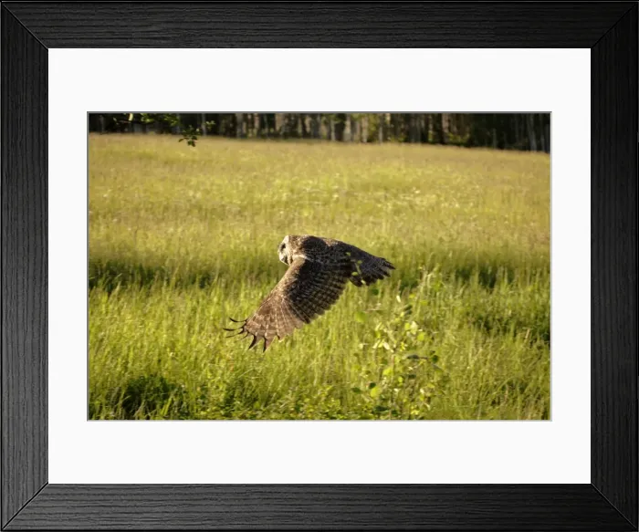 Framed Print : Picture No. 10867140 Framed Print : Picture No. 10867140