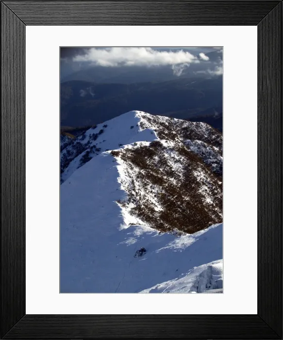 Framed Print : Picture No. 10863134