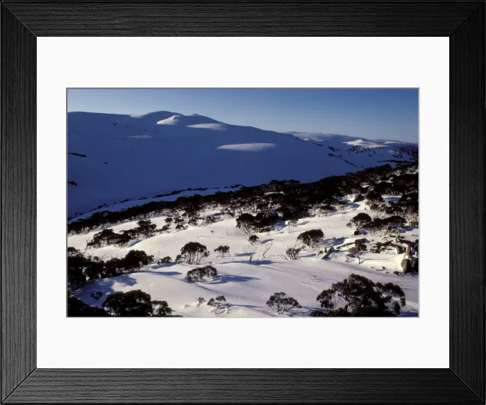 Framed Print : Picture No. 10865350 Framed Print : Picture No. 10865350