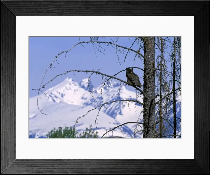 Framed Print : Picture No. 10867114 Framed Print : Picture No. 10867114