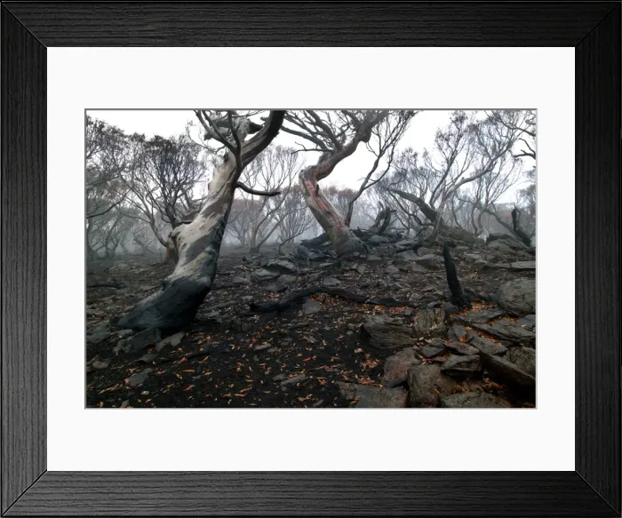 Framed Print : Picture No. 10863103 Framed Print : Picture No. 10863103