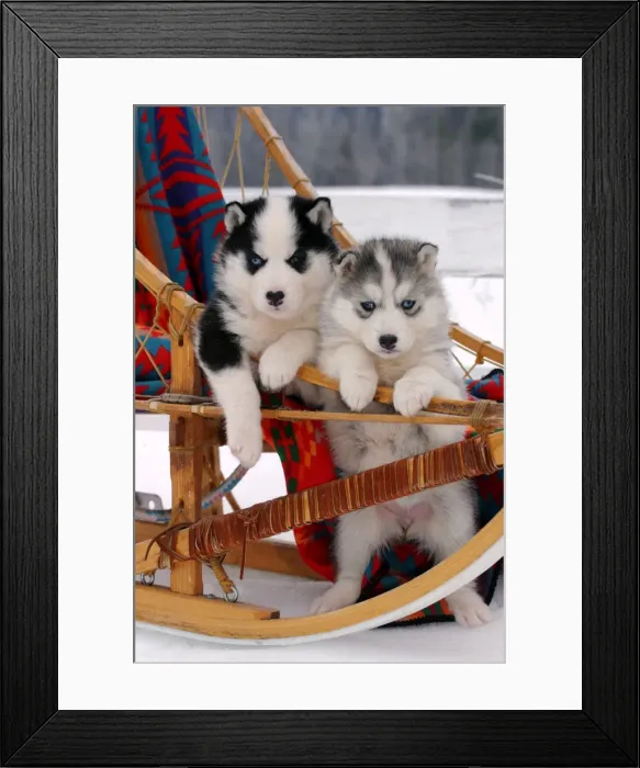 Framed Print : Picture No. 10867131 Framed Print : Picture No. 10867131