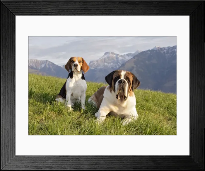 Framed Print : Picture No. 10867126 Framed Print : Picture No. 10867126