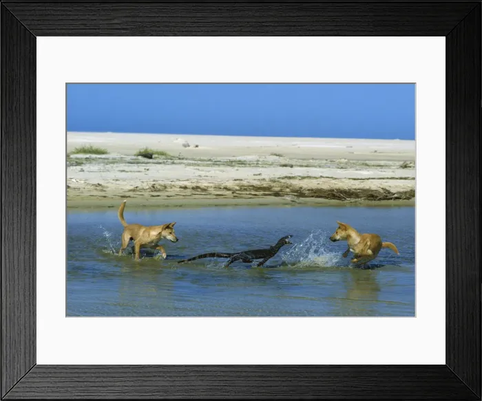 Framed Print : Picture No. 10865363 Framed Print : Picture No. 10865363