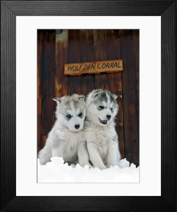 Framed Print : Picture No. 10867133 Framed Print : Picture No. 10867133