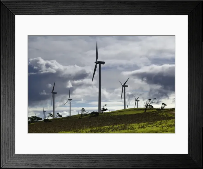 Framed Print : Picture No. 10863305 Framed Print : Picture No. 10863305