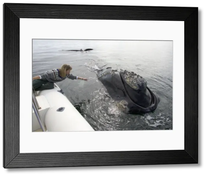 Framed Print : Picture No. 10865395 Framed Print : Picture No. 10865395