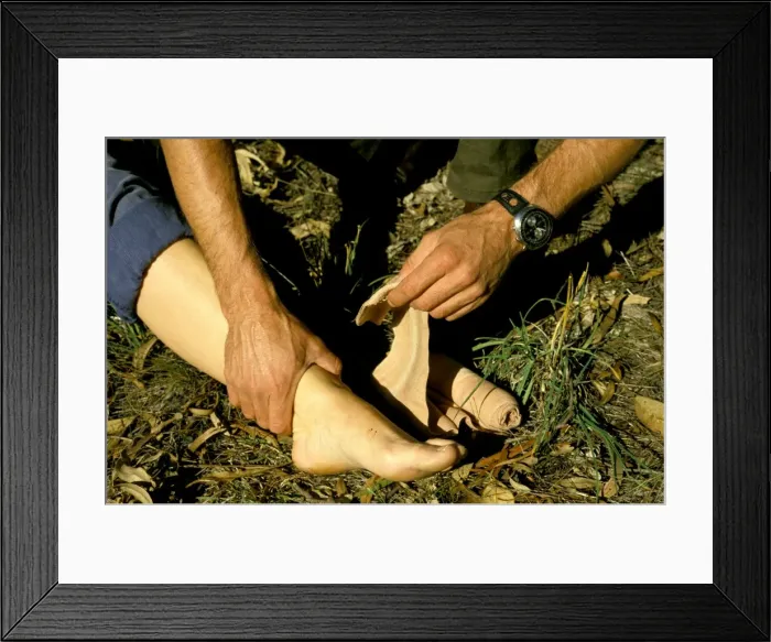 Framed Print : Picture No. 10865357 Framed Print : Picture No. 10865357