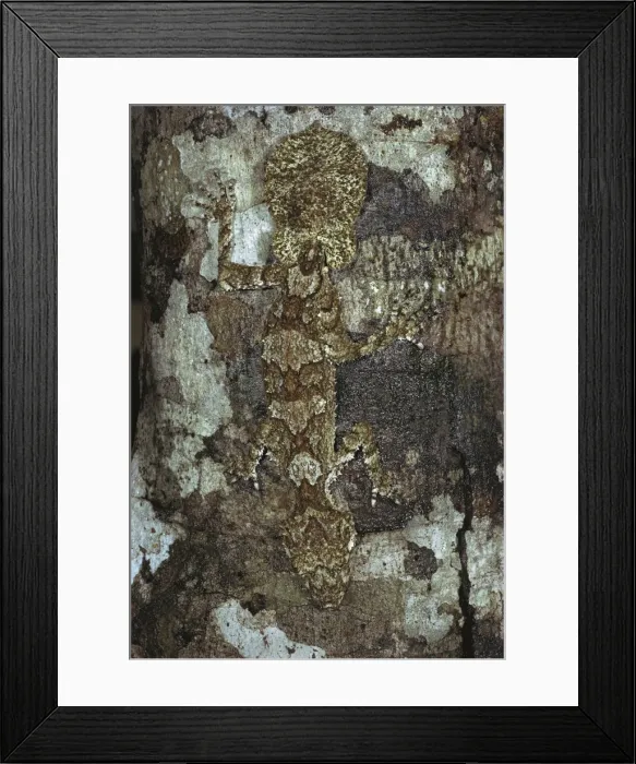 Framed Print : Picture No. 10865344 Framed Print : Picture No. 10865344